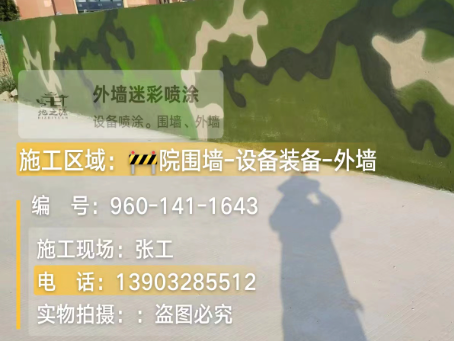 淮南 迷彩漆喷涂价格(按平方米计费)
